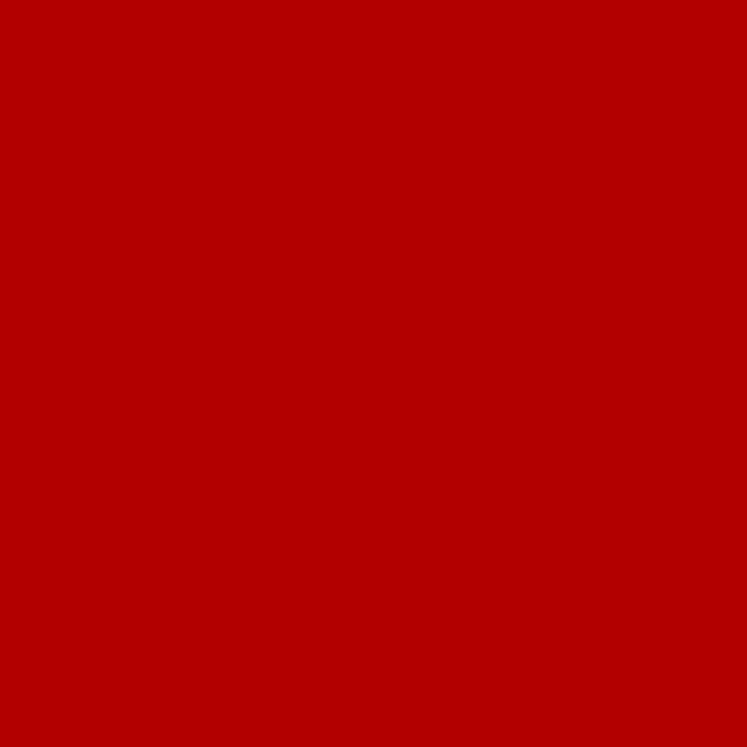 Flamenco20Valdemoro202020 | FRANCISCO CARLOS SANCHO NADAL