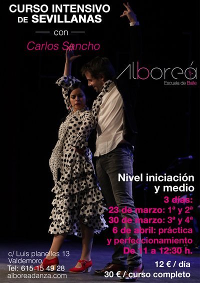 Intensivo20Sevillanas20Valdemoro Red | FRANCISCO CARLOS SANCHO NADAL